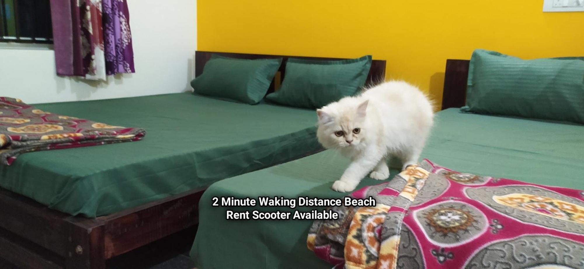 Sarvesh Arundekar Home Stay In Beach Side Ac Room Gokarna  Eksteriør bilde